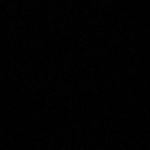 Meet your Posher, Dina